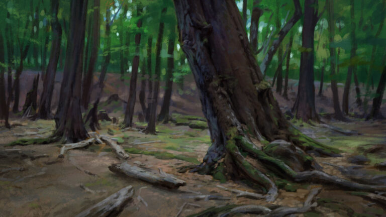 Landscape study by Noah Bradley: tall tree trunks and roots in a shaded forest