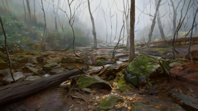 Landscape study by Noah Bradley: a misty forest with mossy rocks and fallen logs